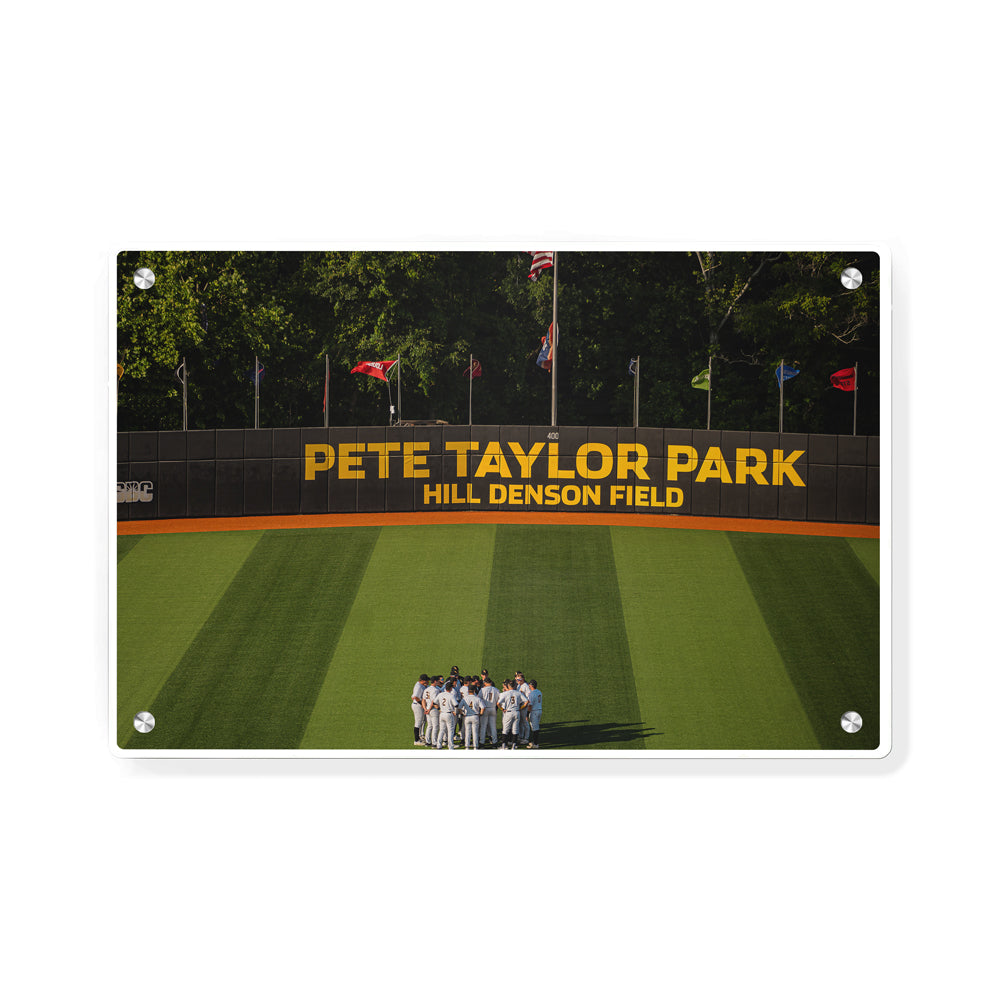 Southern Miss Golden Eagles - Pete Taylor Park Hill Denson Field - College Wall Art #Canvas
