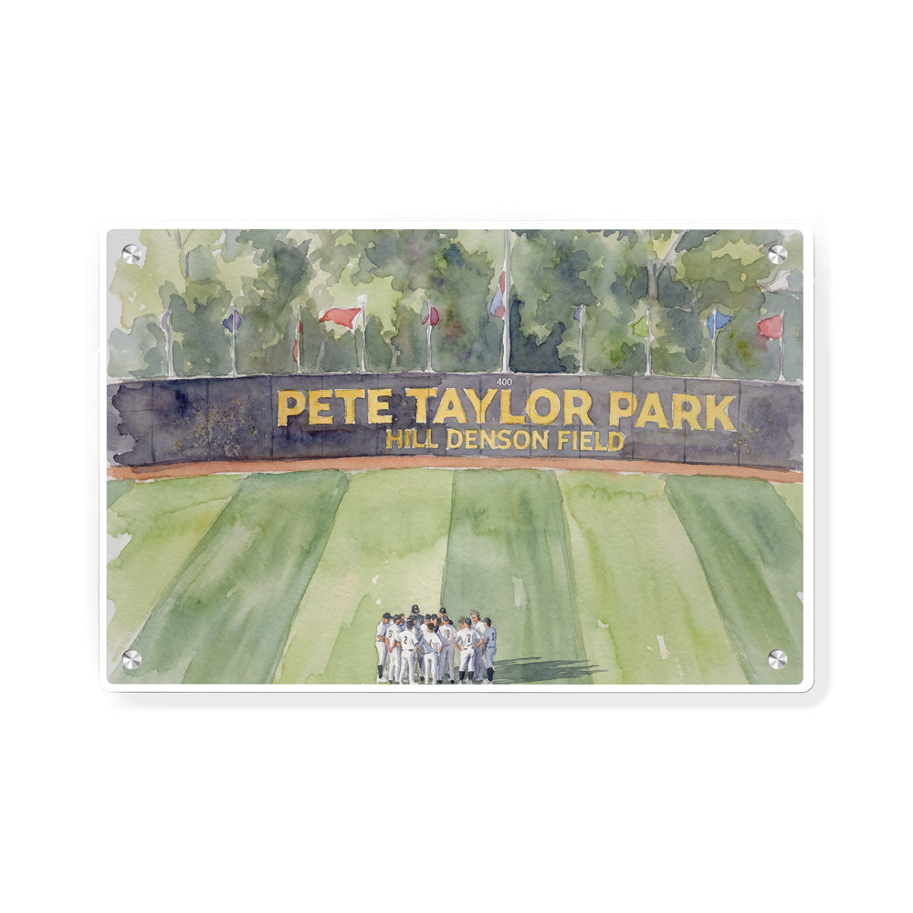 Southern Miss Golden Eagles - Pete Taylor Park Watercolor - College Wall Art #Canvas
