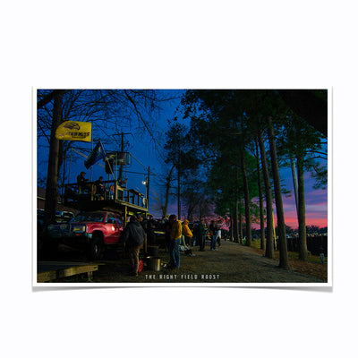 Southern Miss Golden Eagles - The Right Field Roost - College Wall Art #Photo Posters