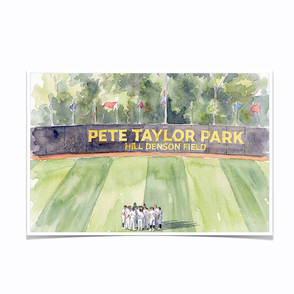 Southern Miss Golden Eagles - Pete Taylor Park Watercolor - College Wall Art #Canvas