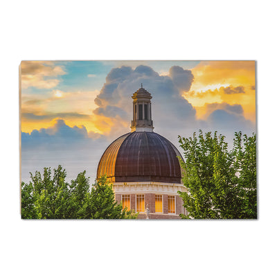 Southern Miss Golden Eagles - Evening Dome - College Wall Art #Wood