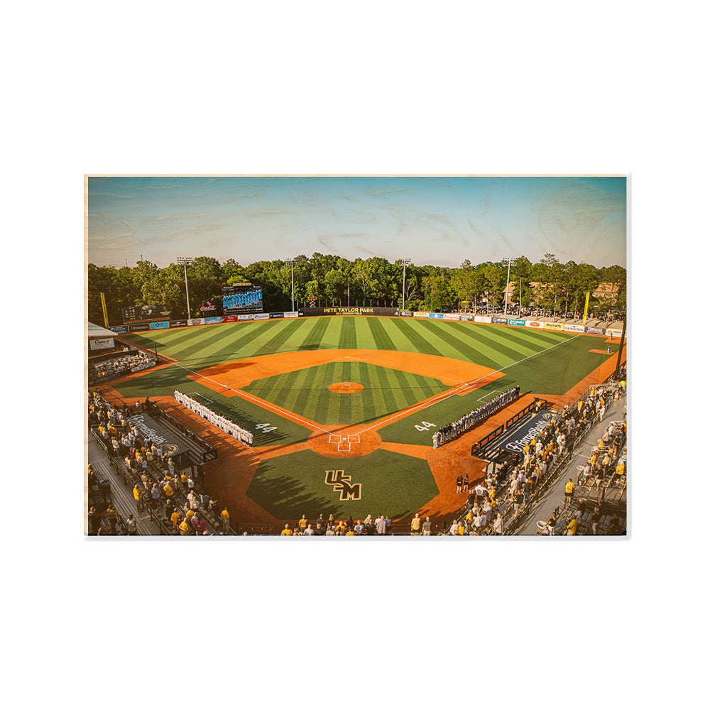 Southern Miss Golden Eagles - Pete Taylor Park - College Wall Art #Canvas