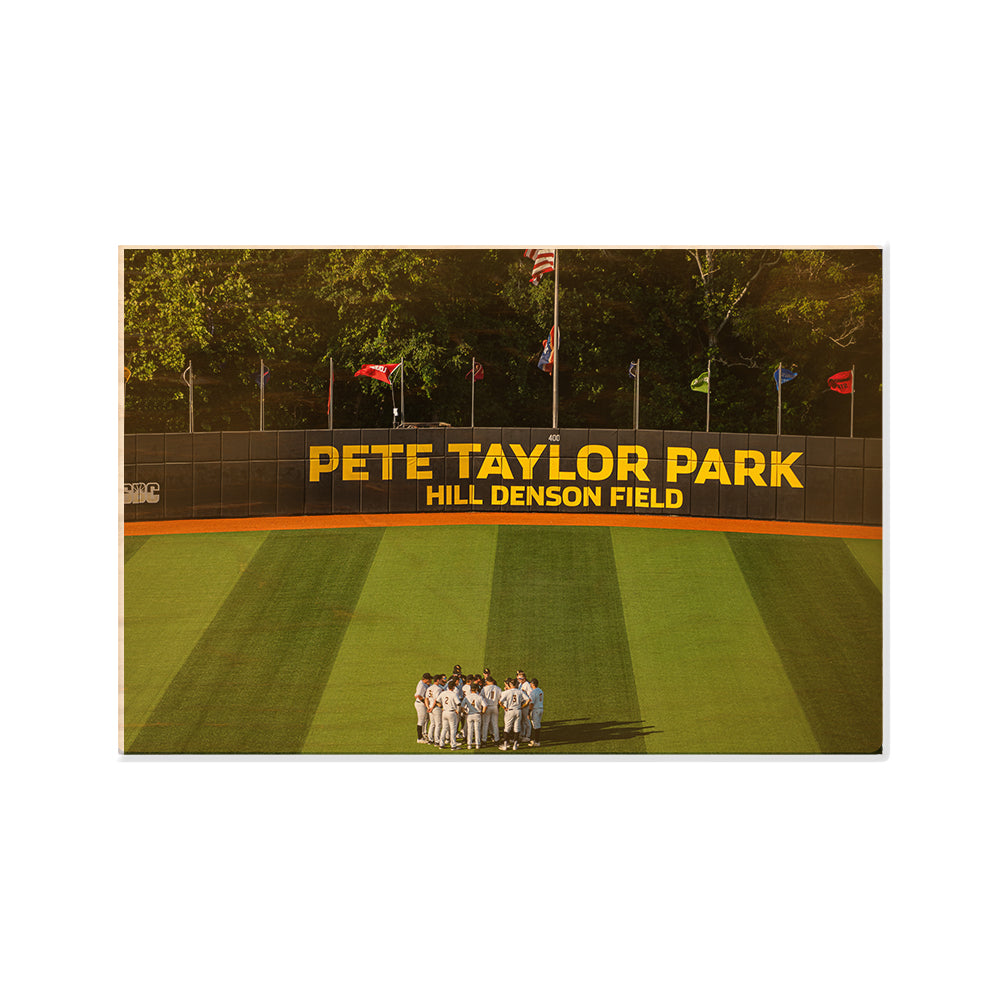 Southern Miss Golden Eagles - Pete Taylor Park Hill Denson Field - College Wall Art #Canvas