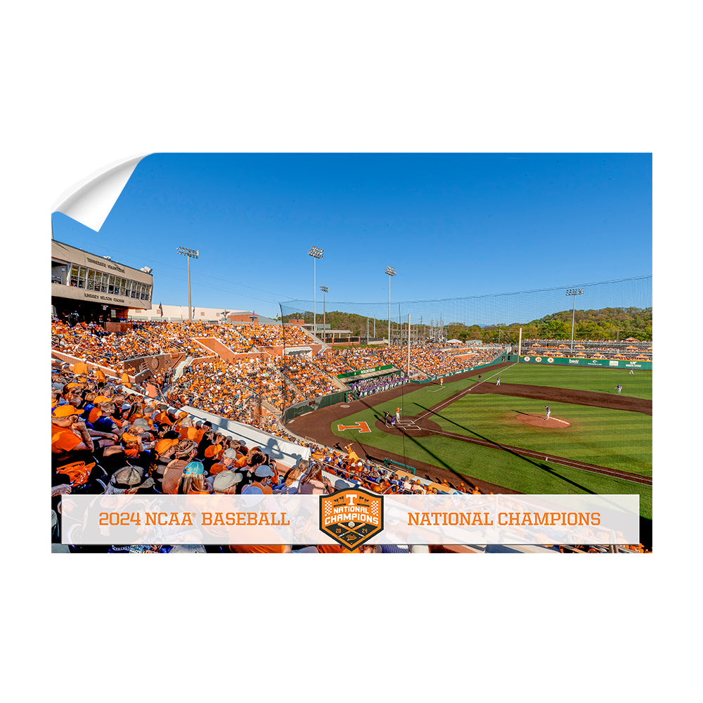 Tennessee Volunteers - Tennessee Baseball NCAA Baseball National Champions - College Wall Art #Canvas