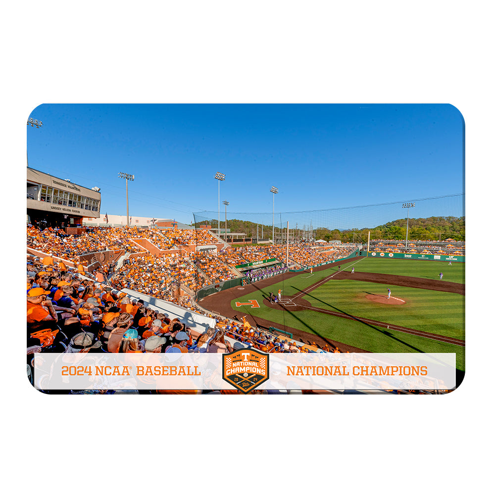 Tennessee Volunteers - Tennessee Baseball NCAA Baseball National Champions - College Wall Art #Canvas