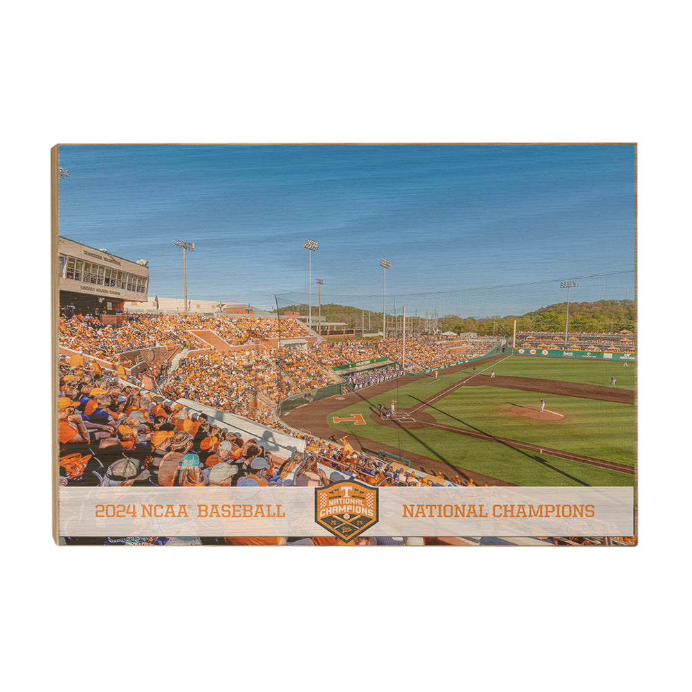 Tennessee Volunteers - Tennessee Baseball NCAA Baseball National Champions - College Wall Art #Canvas