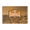 Tennessee Volunteers - Tennessee Orange NCAA Baseball National Champions - College Wall Art #Wood