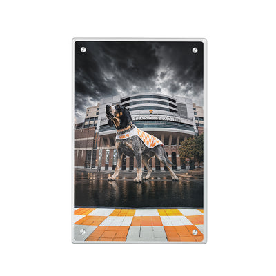 Tennessee Volunteers - Defend Rocky Top - College Wall Art #Acrylic