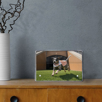 Tennessee Volunteers - Smokey XII - College Wall Art #Acrylic Mini
