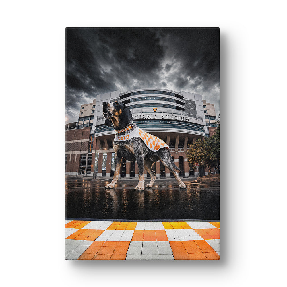 Tennessee Volunteers - Defend Rocky Top - College Wall Art #Canvas