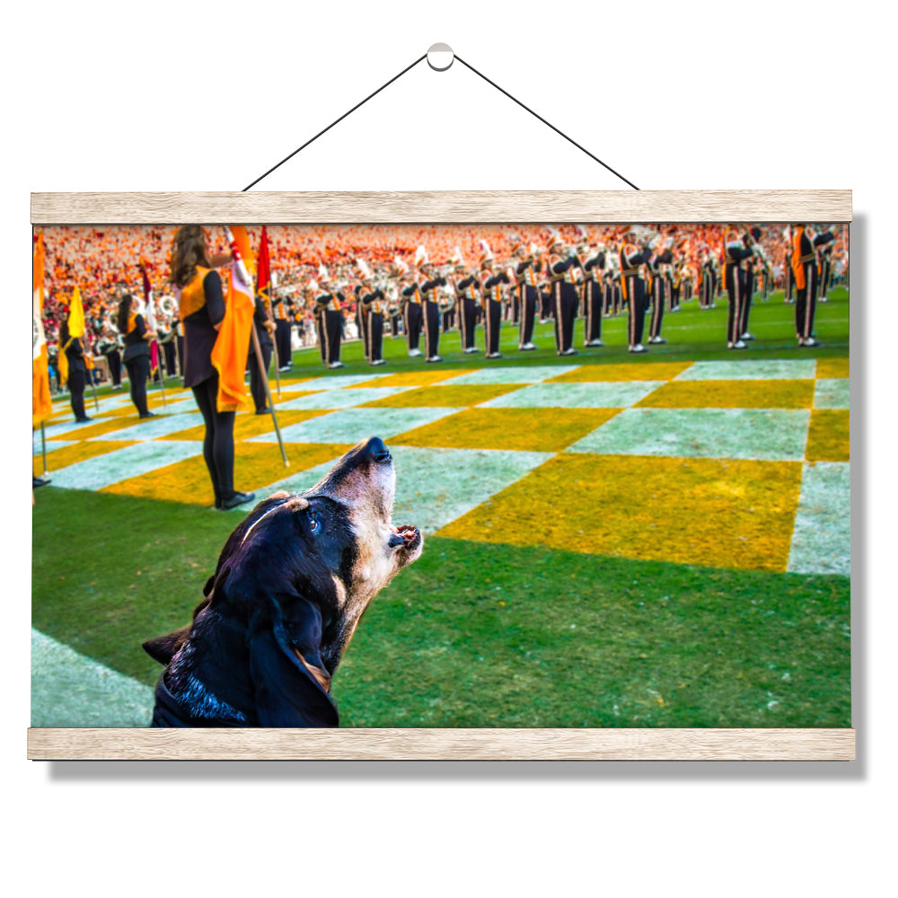Tennessee Volunteers - Smokey X - College Wall Art #Canvas