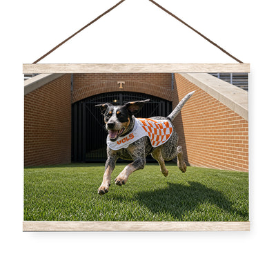 Tennessee Volunteers - Smokey XII - College Wall Art #Hanging Canvas