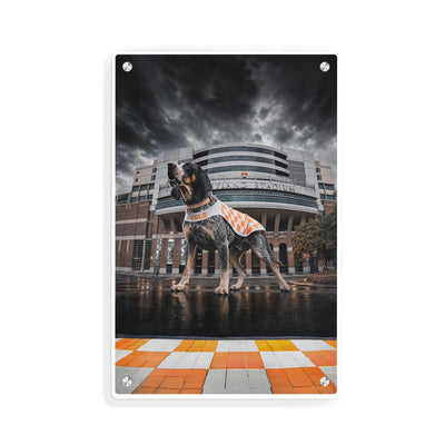 Tennessee Volunteers - Defend Rocky Top - College Wall Art #Metal