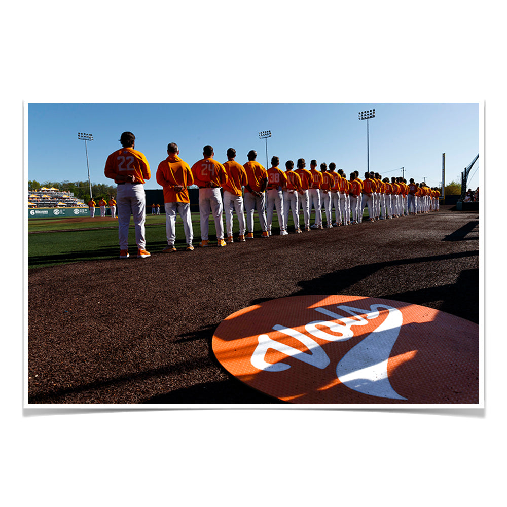Tennessee Volunteers - Vols Baseball - College Wall Art #Canvas