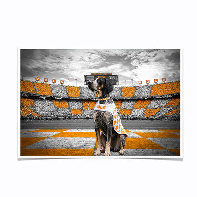 Tennessee Volunteers - Smokey's Watch - College Wall Art #Poster
