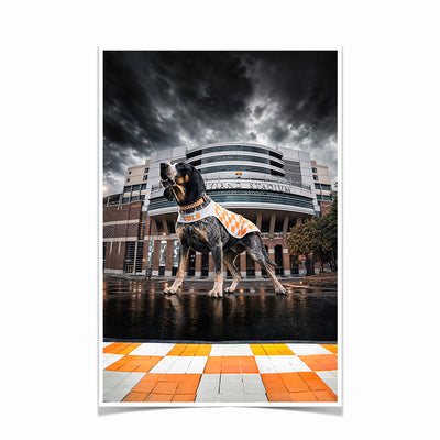 Tennessee Volunteers - Defend Rocky Top - College Wall Art #Poster