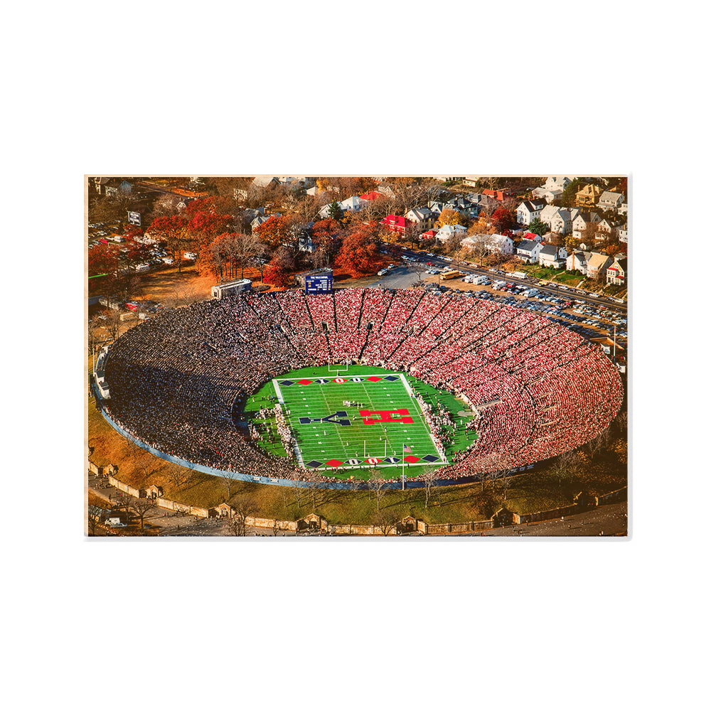 Yale Bulldogs - Yale Bowl - College Wall Art #Canvas