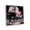 Alabama Crimson Tide - Alabama Flags - College Wall Art #Acrylic Mini
