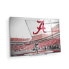 Alabama Crimson Tide - Big Al Flag - College Wall Art #Acrylic Mini