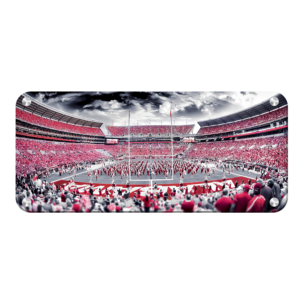Alabama Crimson Tide - Bryant Denny Monochrome Pano - College Wall Art #Canvas