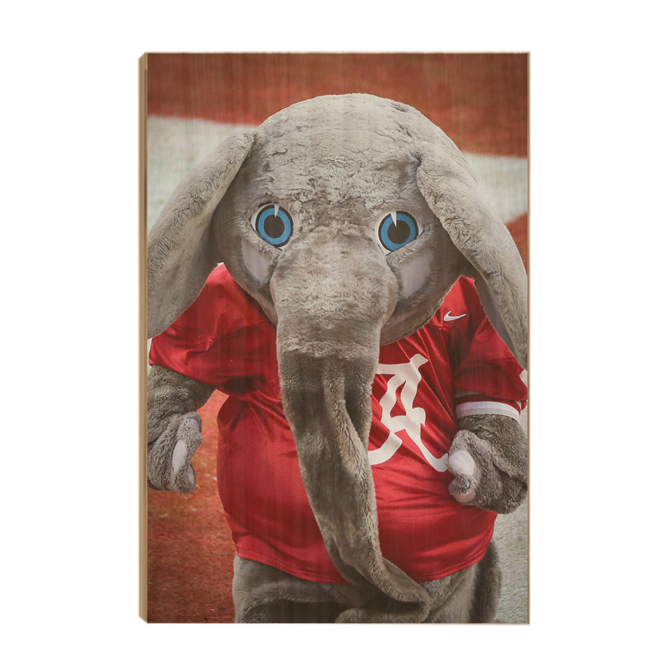Alabama Crimson Tide - Big Al - College Wall Art #Canvas