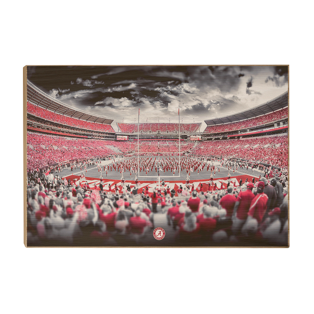 Alabama Crimson Tide - Bryant Denny Monochrome - College Wall Art #Canvas