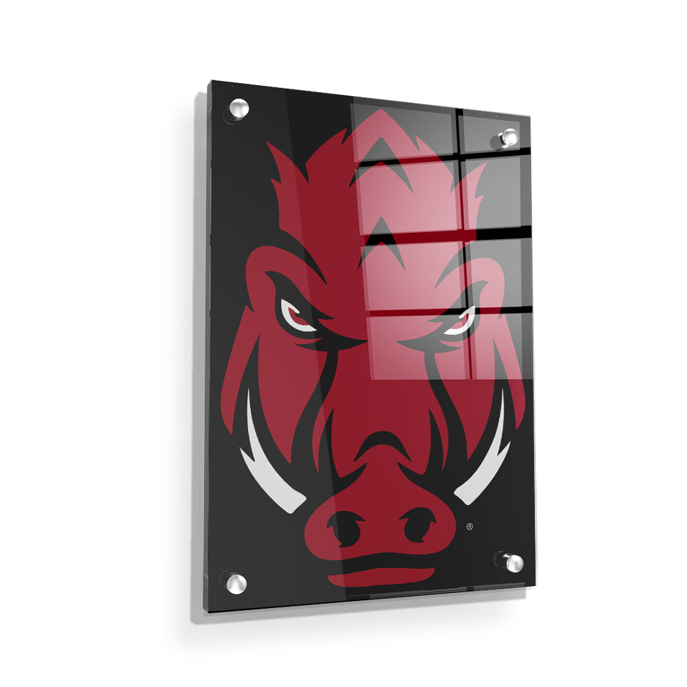 Arkansas Razorbacks - Razorback - College Wall Art #Canvas
