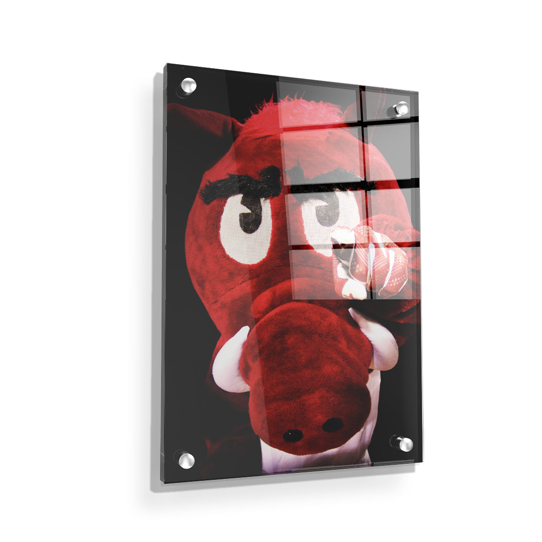 Arkansas Razorbacks - Big Red wants you! - College Wall Art #Canvas