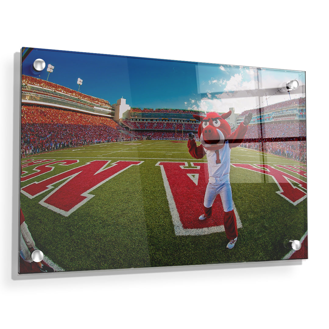 Arkansas Razorbacks - Big Red End Zone - College Wall Art #Canvas
