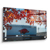 Arkansas Razorbacks - Donald W. Reynolds Razorback Stadium - College Wall Art #Acrylic