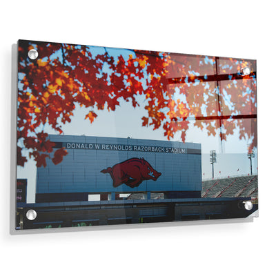 Arkansas Razorbacks - Donald W. Reynolds Razorback Stadium - College Wall Art #Acrylic