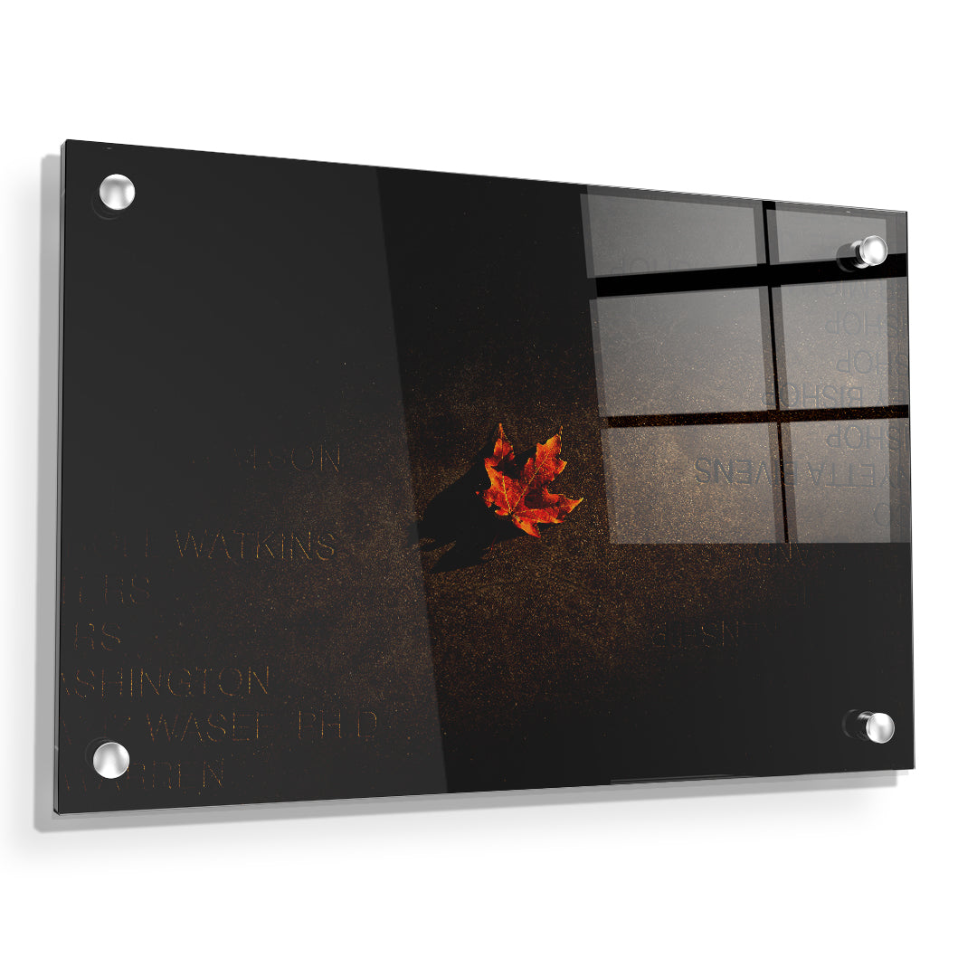 Arkansas Razorbacks - Senior Walk - College Wall Art #Canvas