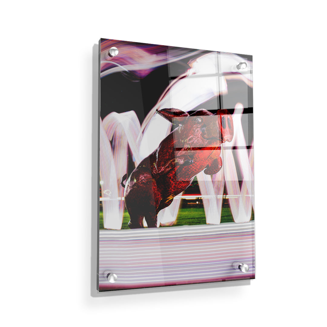 Arkansas Razorbacks - Fayetteville Hog - College Wall Art #Canvas