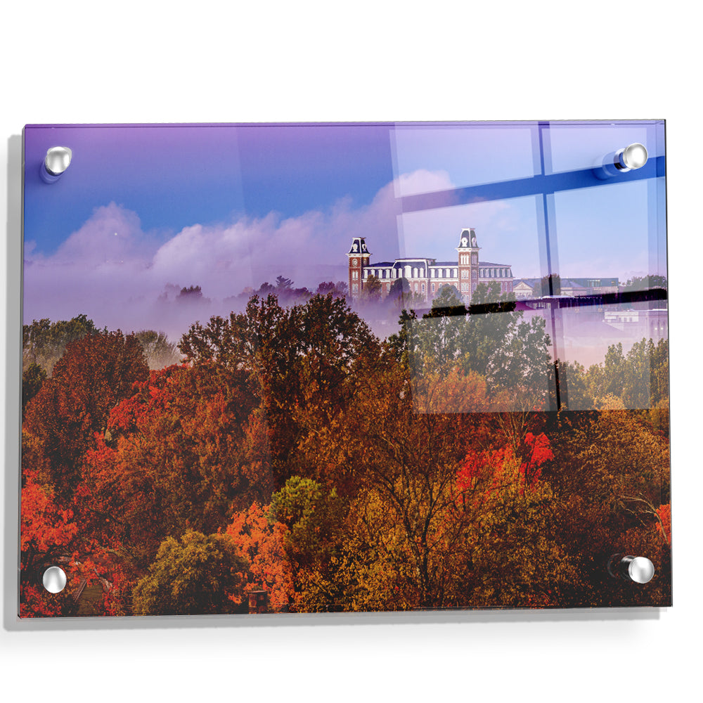 Arkansas Razorbacks - Foggy Foliage - College Wall Art #Canvas