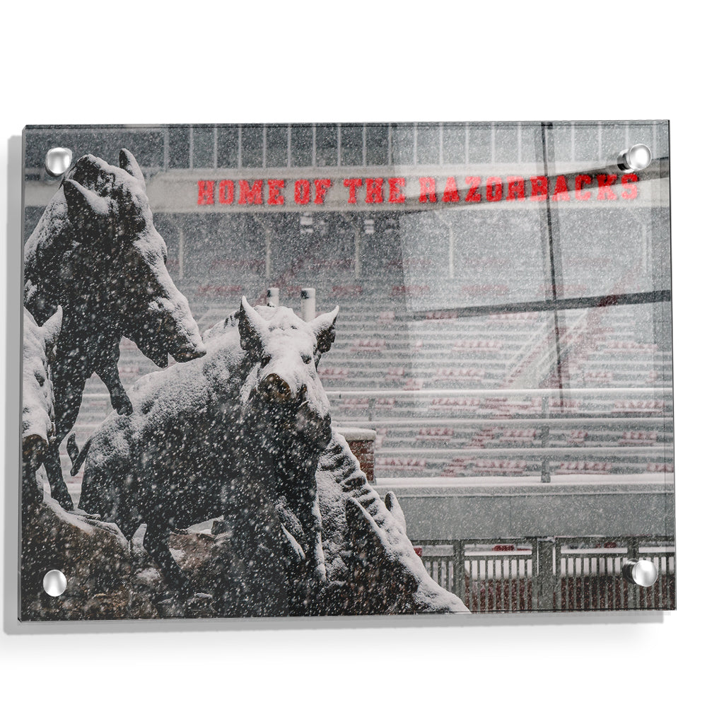 Arkansas Razorbacks - Snow Strom at the Home of the Razorbacks - College Wall Art #Canvas