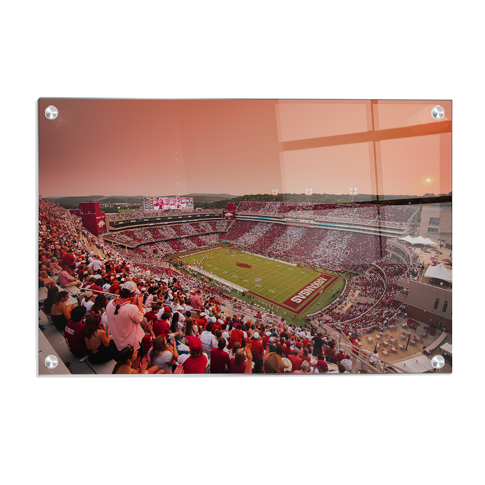Arkansas Razorbacks - Aerial Donald - College Wall Art #Canvas