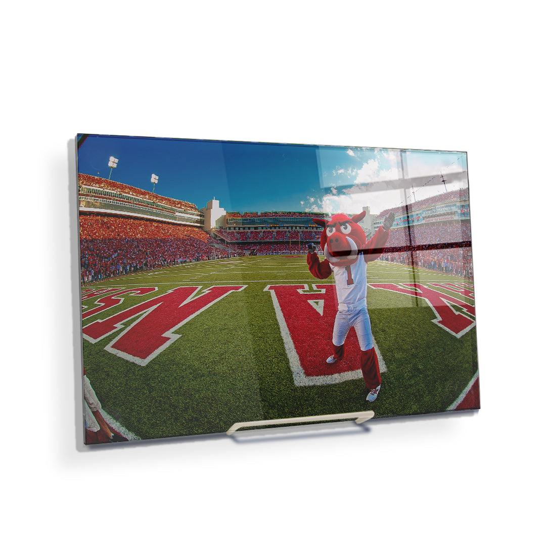 Arkansas Razorbacks - Big Red End Zone - College Wall Art #Canvas