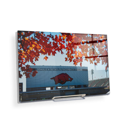 Arkansas Razorbacks - Donald W. Reynolds Razorback Stadium - College Wall Art #Acrylic Mini