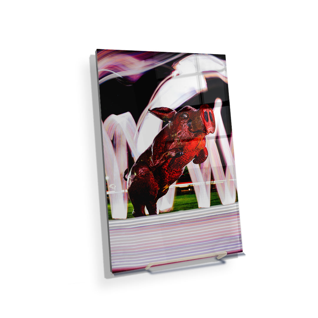 Arkansas Razorbacks - Fayetteville Hog - College Wall Art #Canvas