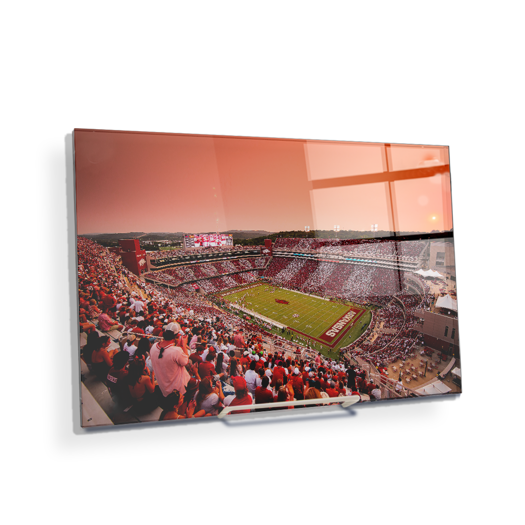 Arkansas Razorbacks - Aerial Donald - College Wall Art #Canvas