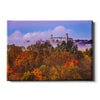 Arkansas Razorbacks - Foggy Foliage - College Wall Art #Canvas