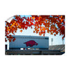 Arkansas Razorbacks - Donald W. Reynolds Razorback Stadium - College Wall Art #Wall Decal
