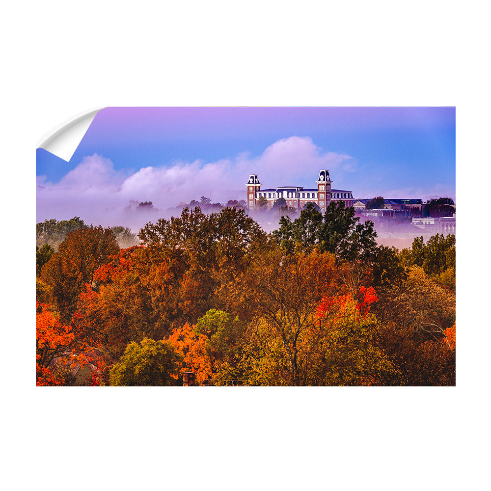 Arkansas Razorbacks - Foggy Foliage - College Wall Art #Canvas