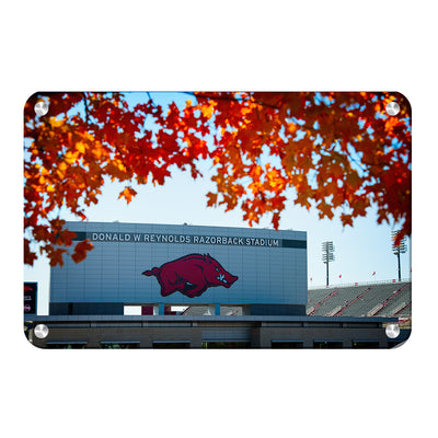 Arkansas Razorbacks - Donald W. Reynolds Razorback Stadium - College Wall Art #Metal