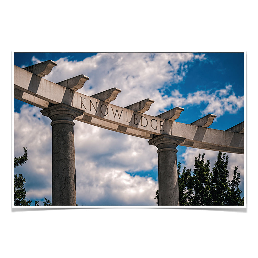 Arkansas Razorbacks - Greek Theater - College Wall Art #Canvas
