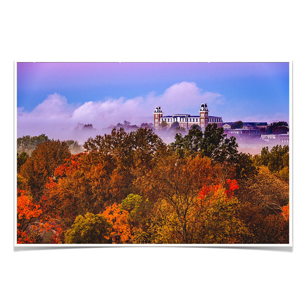 Arkansas Razorbacks - Foggy Foliage - College Wall Art #Canvas