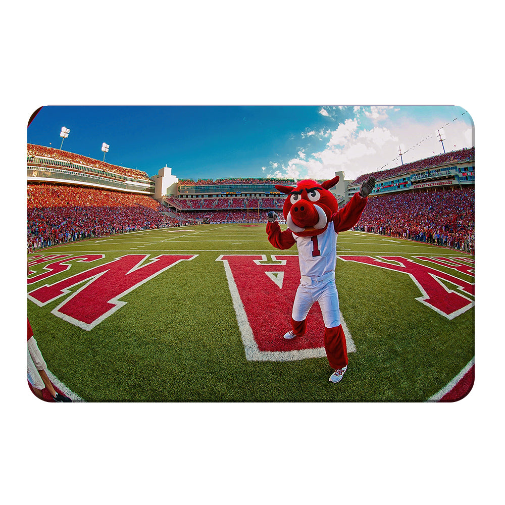 Arkansas Razorbacks - Big Red End Zone - College Wall Art #Canvas