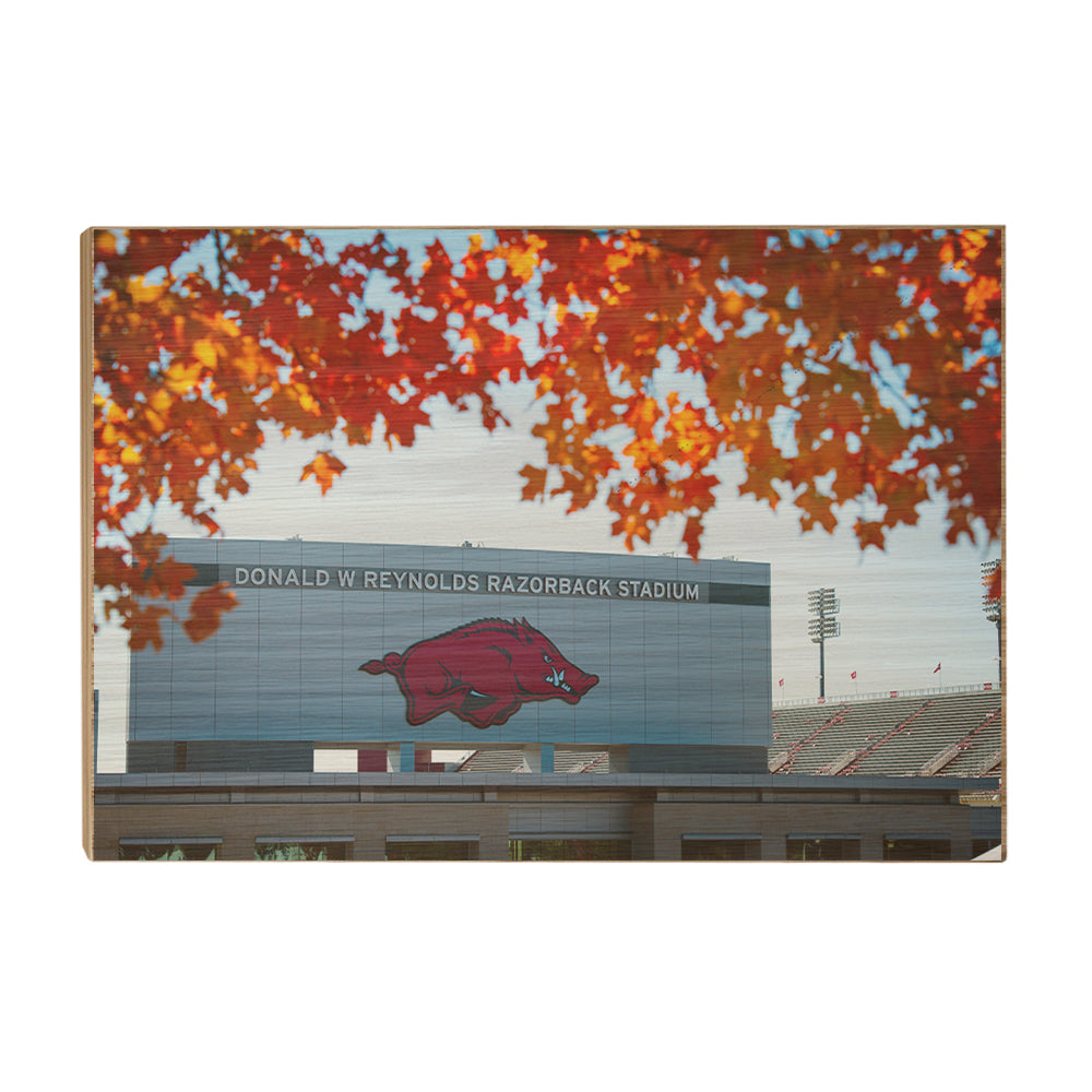 Arkansas Razorbacks - Donald W. Reynolds Razorback Stadium - College Wall Art #Canvas