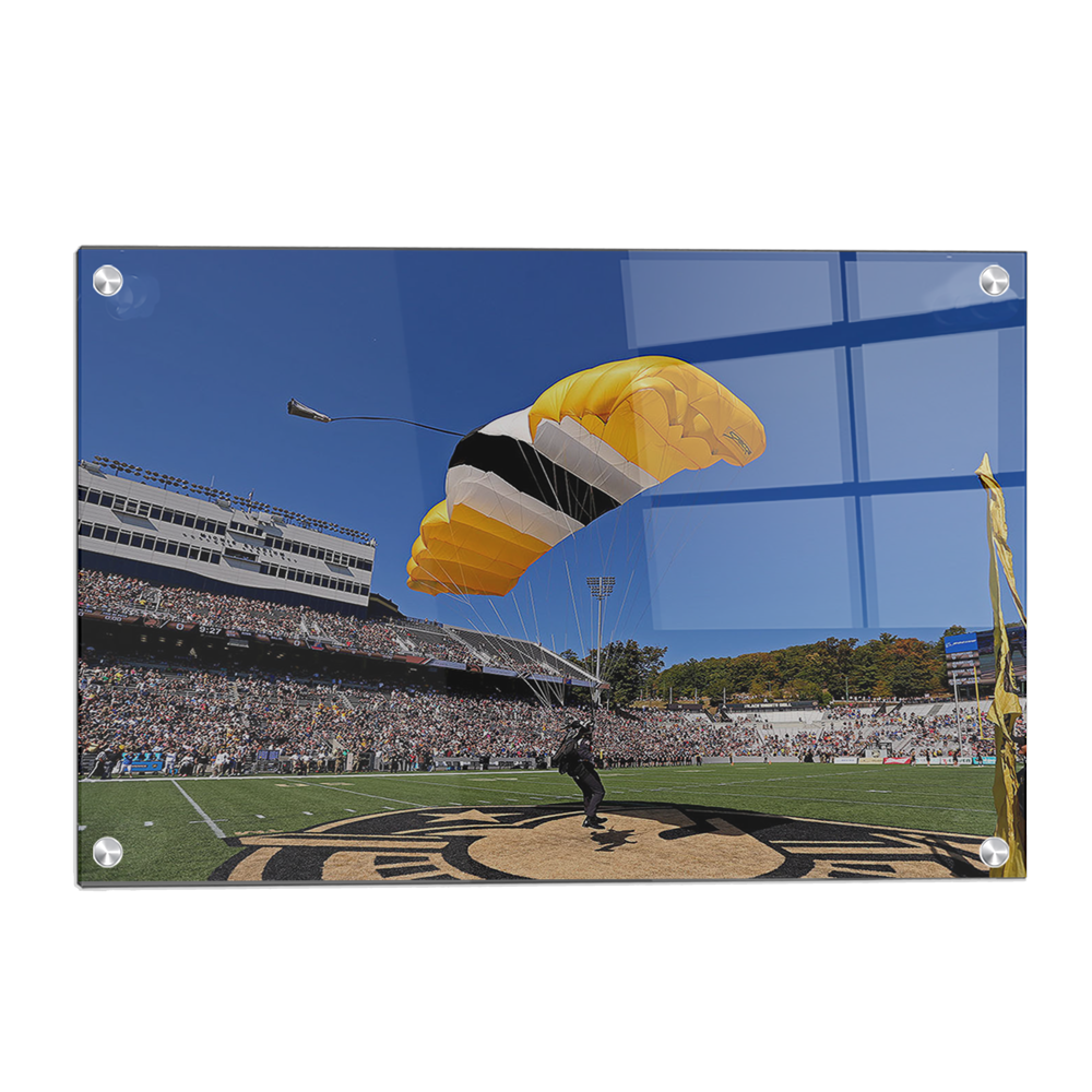 Army West Point Black Knights - Pinpoint Landing - College Wall Art #Canvas
