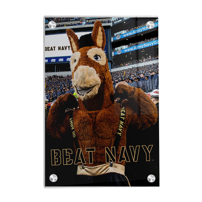 Army West Point Black Knights - Beat Navy Mule - College Wall Art #Acrylic